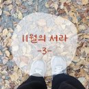 정관장지축 - 4922 | 25년 11월 세번째 : 겨울이 오기 전에