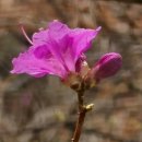 경기둘레길 안산49코스 이미지