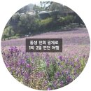 작은쉼터 스텔라