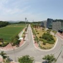축구센터2,3구장 이미지