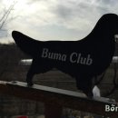 부마클럽 이미지