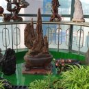 아침농장 이미지