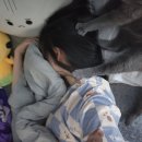 앙큼한고양이 | 오랜만에 생존신고 일상글 + 영화 눈동자 솔직후기