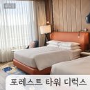 인스파이어 리조트 포레스트 디럭스 더블 퀸 객실 9개월 아기랑, 아기 대여용품, 맛집, 조식