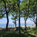 열린횟집 이미지