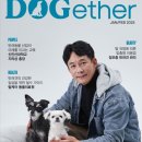 댕댕미식회 이미지