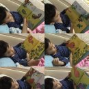 꼭꼭 숨어라 동물들아 이미지