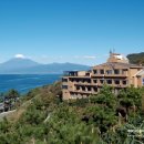 와사비 호테루 이미지