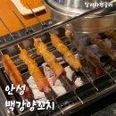 월급날엔 양고기 가보자고 안성 공도 백강양꼬치 후기(추천!)