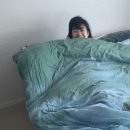 나는제주다(주)