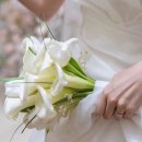 폴라리스호텔앞 | W0 결혼 기록을 시작해보는 건에 대하여