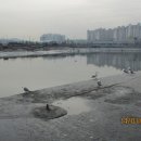 남동체육관 이미지