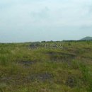 새한목장 이미지