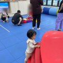 월성짐보리 이미지