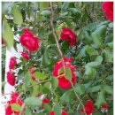 도원 행정사사무소 이미지