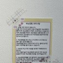 빙긋스튜디오 | [속눈썹펌] 인천 학익동 속눈썹 <빙긋스튜디오> real 후기