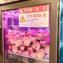 꼼돼지 이미지