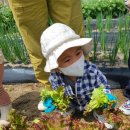 샛별농장 이미지