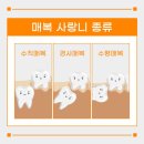 유디여수치과의원 이미지