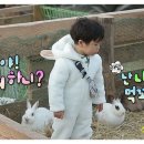 승재 농장 이미지