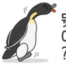 진짜베기 이미지