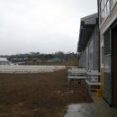 궁평목장 이미지