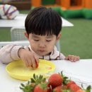 지산농장 | [논산 딸기체험] 아기랑 갈만한 곳 베리톡 팜크닉 체험농장 예약 방법, 가격 등 솔직후기