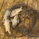 명성휴게실 | 안면도좌대낚시 명성좌대에서 즐긴 우럭 손맛과 힐링 후기