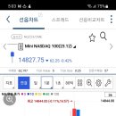 유로(YoLo) 이미지
