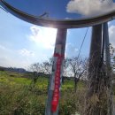 왕궁중학교 이미지