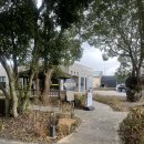 제주궁전 | 겨울 서쪽 제주 곶자왈 산양큰엉곶 사진명소 솔직후기