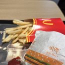 쓰는 일기 (아날로그 동성로점, 계란구름라면, MZ플랜적금, 대구레이어드컷, 가나디포토이즘, 연작...