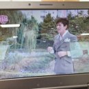 고아읍행정복지센터 이미지