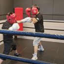 성남 탑 복싱 이미지