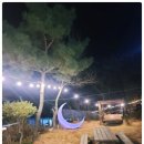 비치힐 뷰 | 비치힐뷰하우스: 영종도펜션 중 가성비 최고, 바다가 가까워 더욱 특별했어요