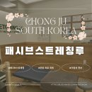 스트레칭운동센터 | 청주 패시브스트레칭센터 패시브스트레칭루 내돈내산 후기