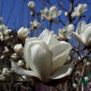 죽림산방 이미지