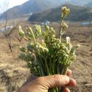 밤산농원 이미지