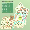 강원도 영월 [한반도 솔숲 쉼터] 애견동반 캠핑장 후기