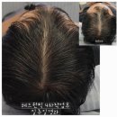 릿따 스타일 이미지