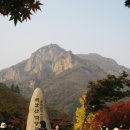 백양사 Daum카페