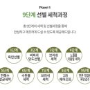 채다움
