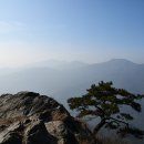 운종
