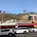 대포항횟집 행복한 가족힐링여행 맛집 팔팔회센타 후기