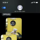 이뿌개해줄개 이미지