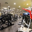 쏘마휘트니스 이미지