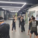 싸이코 핏불스 이미지