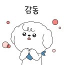 태평하개 이미지