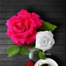 물고기자리 이미지