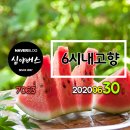 벌교 태권도장 이미지